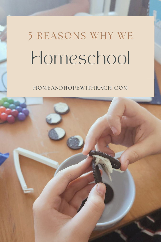 5 Reasons We Homeschool